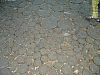 DSC05798.jpg